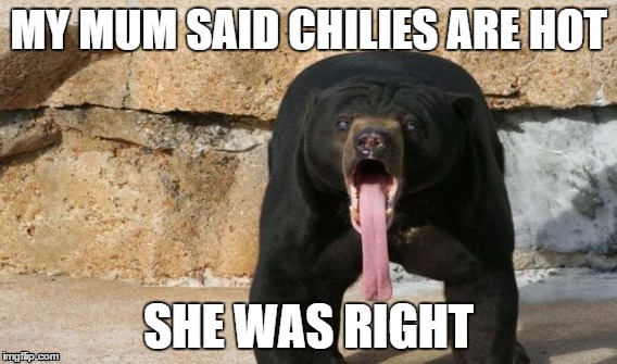 chilies are hot | MY MUM SAID CHILIES ARE HOT SHE WAS RIGHT | image tagged in sun,bear | made w/ Imgflip meme maker