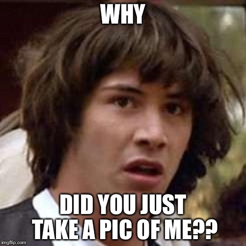 Conspiracy Keanu Meme | WHY DID YOU JUST TAKE A PIC OF ME?? | image tagged in memes,conspiracy keanu | made w/ Imgflip meme maker