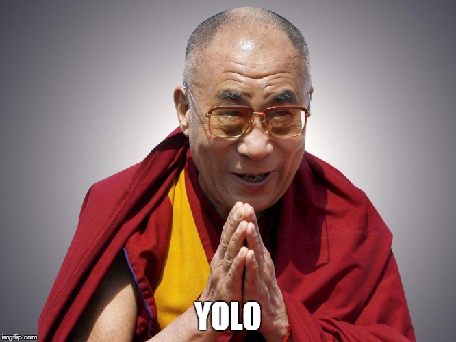 Yolo | YOLO | image tagged in dali llama,memes | made w/ Imgflip meme maker