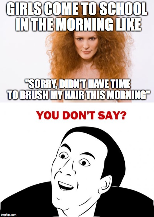 Oh, sorry, I didn't notice! | GIRLS COME TO SCHOOL IN THE MORNING LIKE "SORRY, DIDN'T HAVE TIME TO BRUSH MY HAIR THIS MORNING" | image tagged in you don't say,bad hair day | made w/ Imgflip meme maker
