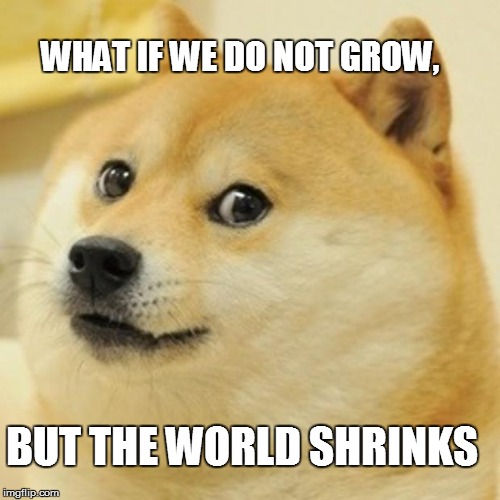 Doge | WHAT IF WE DO NOT GROW, BUT THE WORLD SHRINKS | image tagged in memes,doge | made w/ Imgflip meme maker