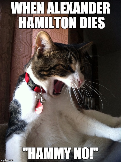 When *insert character* Dies | WHEN ALEXANDER HAMILTON DIES "HAMMY NO!" | image tagged in alexander hamilton,broadway,lin-manuel miranda,a ham,cat,death | made w/ Imgflip meme maker