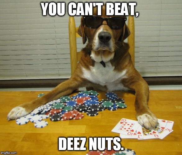 Its a poker term! | YOU CAN'T BEAT, DEEZ NUTS. | image tagged in poker,dog,memes,funny,animals | made w/ Imgflip meme maker