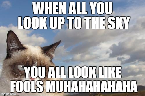 Grumpy Cat Sky Meme | WHEN ALL YOU LOOK UP TO THE SKY YOU ALL LOOK LIKE FOOLS MUHAHAHAHAHA | image tagged in memes,grumpy cat sky,grumpy cat | made w/ Imgflip meme maker