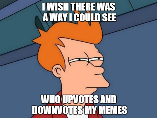 Futurama Fry Meme | I WISH THERE WAS A WAY I COULD SEE WHO UPVOTES AND DOWNVOTES MY MEMES | image tagged in memes,futurama fry | made w/ Imgflip meme maker