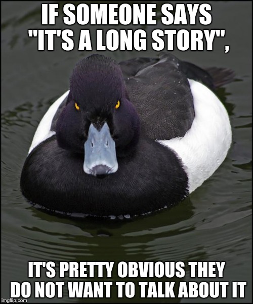 Common sense, people | IF SOMEONE SAYS "IT'S A LONG STORY", IT'S PRETTY OBVIOUS THEY DO NOT WANT TO TALK ABOUT IT | image tagged in angry duck,memes,angry advice mallard | made w/ Imgflip meme maker