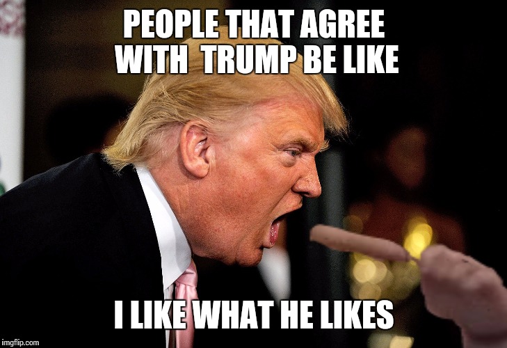 Throating it again | PEOPLE THAT AGREE WITH  TRUMP BE LIKE I LIKE WHAT HE LIKES | image tagged in donald trump,meme | made w/ Imgflip meme maker