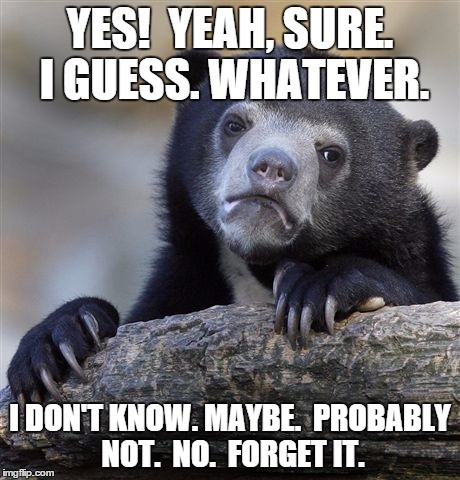 Confession Bear Meme | YES!  YEAH, SURE. I GUESS. WHATEVER. I DON'T KNOW. MAYBE.  PROBABLY NOT.  NO.  FORGET IT. | image tagged in memes,confession bear | made w/ Imgflip meme maker
