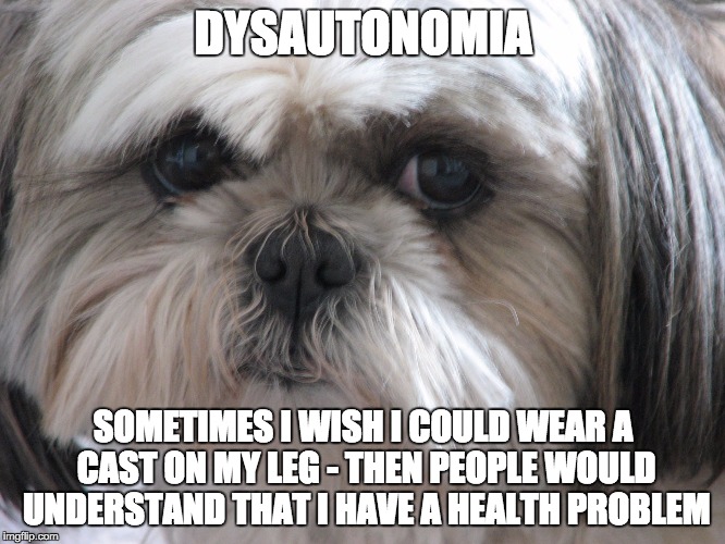 Dysautonomia Dog | DYSAUTONOMIA SOMETIMES I WISH I COULD WEAR A CAST ON MY LEG - THEN PEOPLE WOULD UNDERSTAND THAT I HAVE A HEALTH PROBLEM | image tagged in dysautonomia dog | made w/ Imgflip meme maker