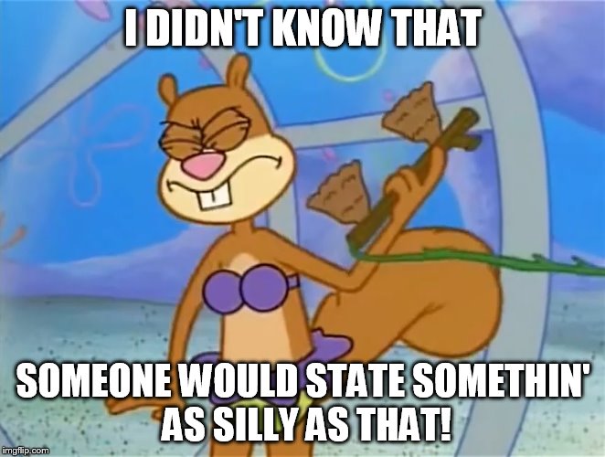 I Didn't Know That Someone Would State Somethin' As Silly As That! | I DIDN'T KNOW THAT SOMEONE WOULD STATE SOMETHIN' AS SILLY AS THAT! | image tagged in sandy cheeks i didn't know that,memes,spongebob squarepants,purple bikini | made w/ Imgflip meme maker