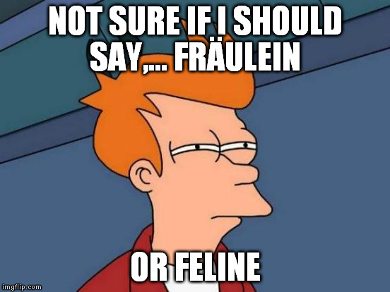 Futurama Fry Meme | NOT SURE IF I SHOULD SAY,... FRÄULEIN OR FELINE | image tagged in memes,futurama fry | made w/ Imgflip meme maker