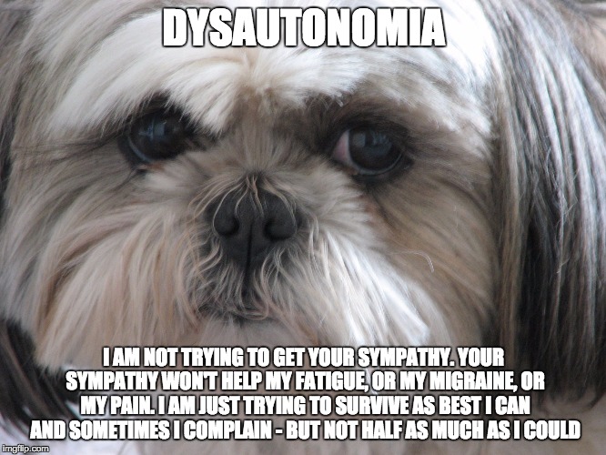 Dysautonomia Dog | DYSAUTONOMIA I AM NOT TRYING TO GET YOUR SYMPATHY. YOUR SYMPATHY WON'T HELP MY FATIGUE, OR MY MIGRAINE, OR MY PAIN. I AM JUST TRYING TO SURV | image tagged in dysautonomia dog | made w/ Imgflip meme maker