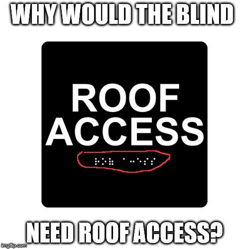 Roof Access | WHY WOULD THE BLIND NEED ROOF ACCESS? | image tagged in funny sign,wtf,blind,roof | made w/ Imgflip meme maker