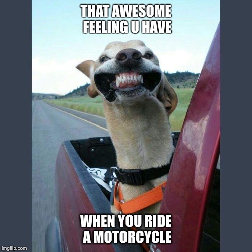 THAT AWESOME FEELING U HAVE WHEN YOU RIDE A MOTORCYCLE | image tagged in motorcycles | made w/ Imgflip meme maker
