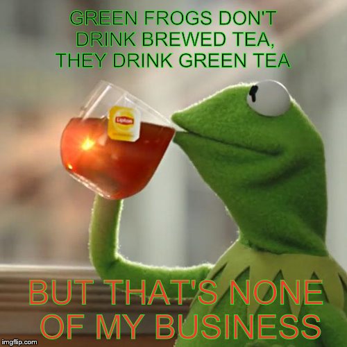 But That's None Of My Business | GREEN FROGS DON'T DRINK BREWED TEA, THEY DRINK GREEN TEA BUT THAT'S NONE OF MY BUSINESS | image tagged in memes,but thats none of my business,kermit the frog | made w/ Imgflip meme maker