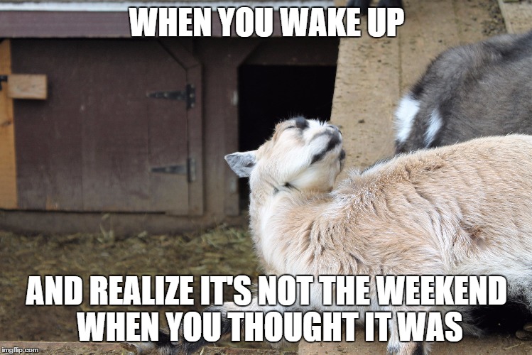 That Moment | WHEN YOU WAKE UP AND REALIZE IT'S NOT THE WEEKEND WHEN YOU THOUGHT IT WAS | image tagged in fail,school,waking up,memes | made w/ Imgflip meme maker