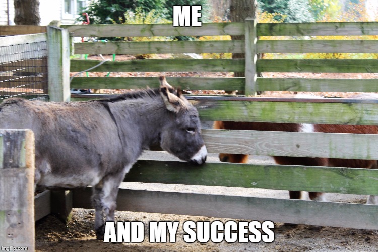 Having No Success | ME AND MY SUCCESS | image tagged in failing meme,success | made w/ Imgflip meme maker