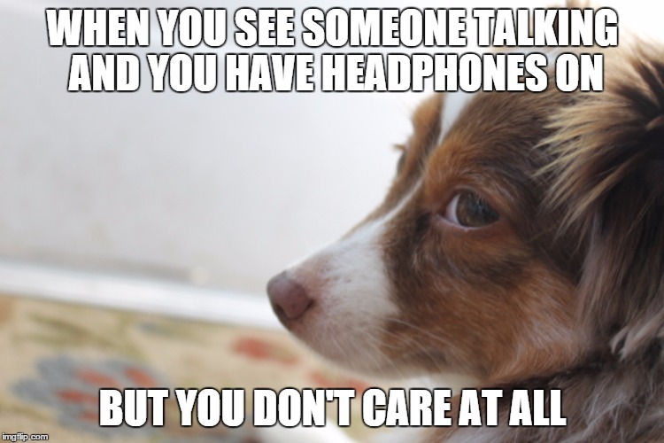 When You Have Headphones On | WHEN YOU SEE SOMEONE TALKING AND YOU HAVE HEADPHONES ON BUT YOU DON'T CARE AT ALL | image tagged in dogs,dog,headphones,ignorance,ignore,ignorant | made w/ Imgflip meme maker