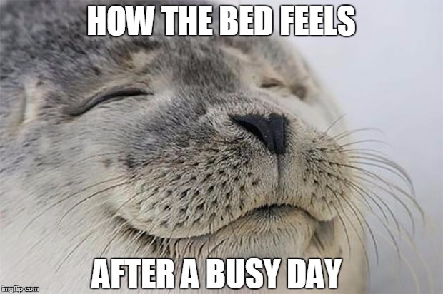 Satisfied Seal Meme | HOW THE BED FEELS AFTER A BUSY DAY | image tagged in memes,satisfied seal | made w/ Imgflip meme maker