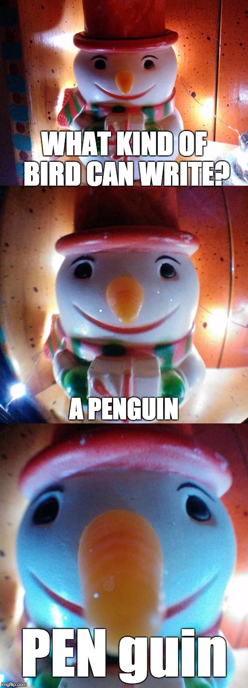 SnowJoke: What kind of bird can write? A PENguin. Let's get wordy!® | WHAT KIND OF BIRD CAN WRITE? A PENGUIN PEN guin | image tagged in snow joke,snowman,penguin,letsgetwordy,snowjoke,bird | made w/ Imgflip meme maker