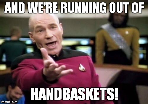 Picard Wtf Meme | AND WE'RE RUNNING OUT OF HANDBASKETS! | image tagged in memes,picard wtf | made w/ Imgflip meme maker