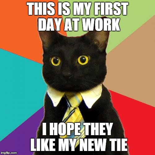 Business Cat Meme | THIS IS MY FIRST DAY AT WORK I HOPE THEY LIKE MY NEW TIE | image tagged in memes,business cat | made w/ Imgflip meme maker