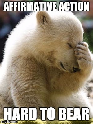 Facepalm Bear | AFFIRMATIVE ACTION HARD TO BEAR | image tagged in memes,facepalm bear | made w/ Imgflip meme maker