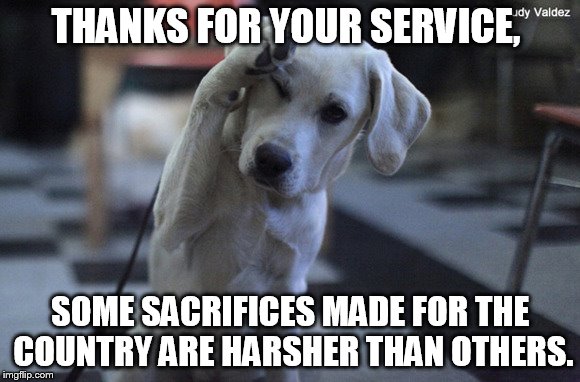 THANKS FOR YOUR SERVICE, SOME SACRIFICES MADE FOR THE COUNTRY ARE HARSHER THAN OTHERS. | made w/ Imgflip meme maker