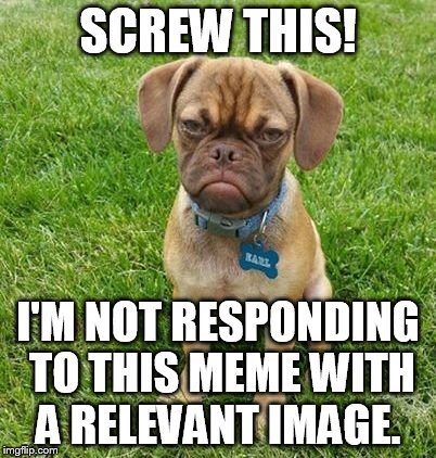 SCREW THIS! I'M NOT RESPONDING TO THIS MEME WITH A RELEVANT IMAGE. | made w/ Imgflip meme maker