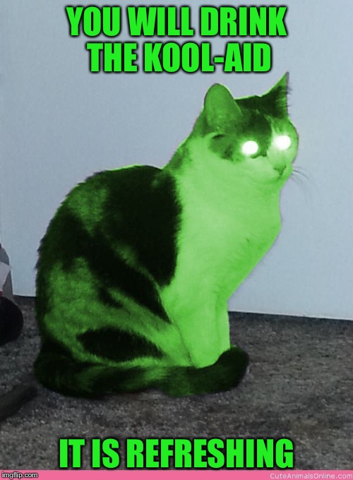 Hypno Raycat | YOU WILL DRINK THE KOOL-AID IT IS REFRESHING | image tagged in hypno raycat | made w/ Imgflip meme maker