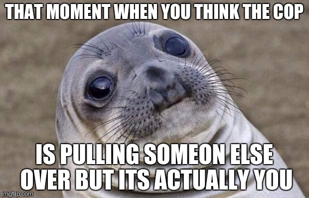 Awkward Moment Sealion | THAT MOMENT WHEN YOU THINK THE COP IS PULLING SOMEON ELSE OVER BUT ITS ACTUALLY YOU | image tagged in memes,awkward moment sealion | made w/ Imgflip meme maker