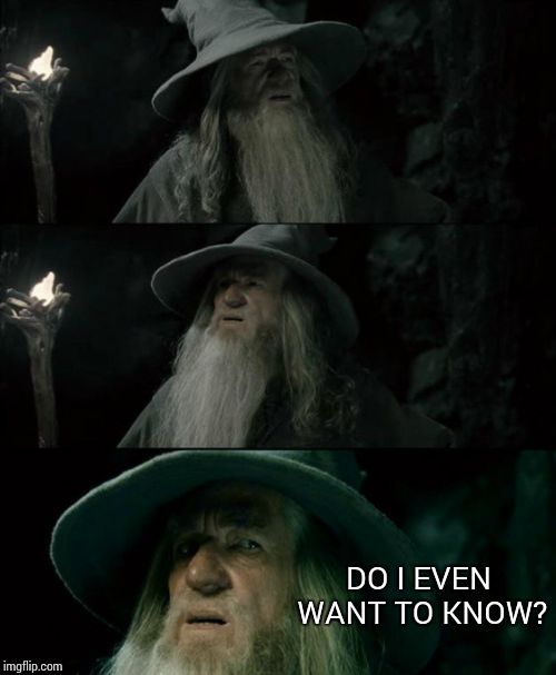 Confused Gandalf Meme | DO I EVEN WANT TO KNOW? | image tagged in memes,confused gandalf | made w/ Imgflip meme maker