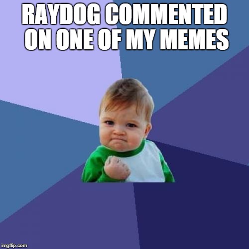Success Kid | RAYDOG COMMENTED ON ONE OF MY MEMES | image tagged in memes,success kid | made w/ Imgflip meme maker