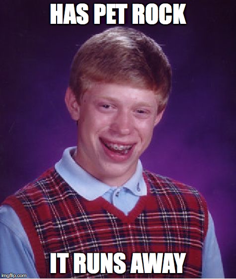 Bad Luck Brian Meme | HAS PET ROCK IT RUNS AWAY | image tagged in memes,bad luck brian | made w/ Imgflip meme maker