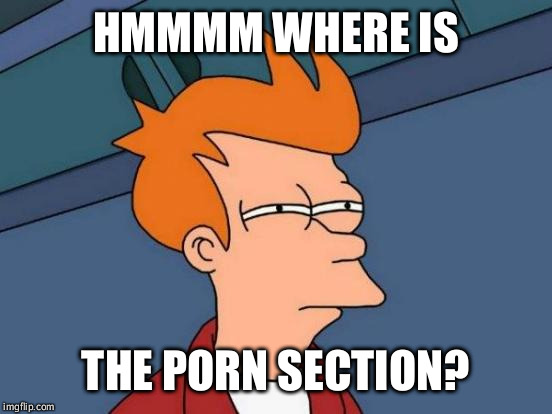 Futurama Fry Meme | HMMMM WHERE IS THE PORN SECTION? | image tagged in memes,futurama fry | made w/ Imgflip meme maker