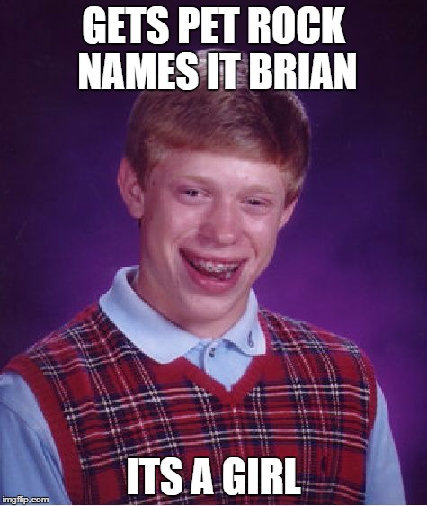 Bad Luck Brian Meme | GETS PET ROCK NAMES IT BRIAN ITS A GIRL | image tagged in memes,bad luck brian | made w/ Imgflip meme maker