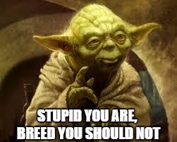 STUPID YOU ARE, BREED YOU SHOULD NOT | made w/ Imgflip meme maker