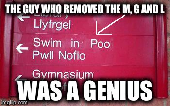 swim in poo | THE GUY WHO REMOVED THE M, G AND L WAS A GENIUS | image tagged in swim in poo | made w/ Imgflip meme maker
