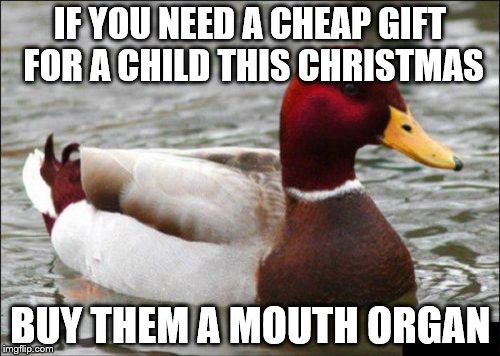 Malicious Advice Mallard | IF YOU NEED A CHEAP GIFT FOR A CHILD THIS CHRISTMAS BUY THEM A MOUTH ORGAN | image tagged in memes,malicious advice mallard,christmas,gift | made w/ Imgflip meme maker