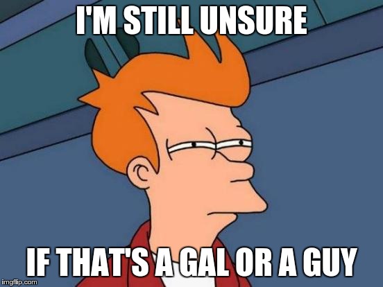 Futurama Fry Meme | I'M STILL UNSURE IF THAT'S A GAL OR A GUY | image tagged in memes,futurama fry | made w/ Imgflip meme maker