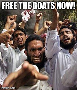angry muslim | FREE THE GOATS NOW! | image tagged in angry muslim | made w/ Imgflip meme maker