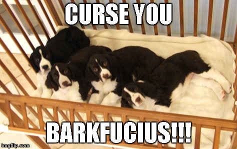 CURSE YOU BARKFUCIUS!!! | made w/ Imgflip meme maker