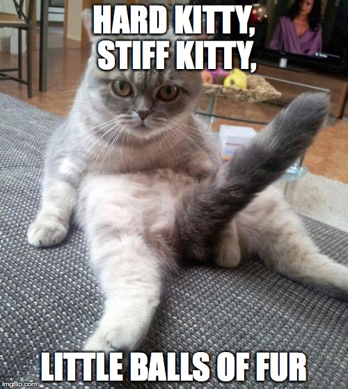 Sexy Cat Meme | HARD KITTY, STIFF KITTY, LITTLE BALLS OF FUR | image tagged in memes,sexy cat | made w/ Imgflip meme maker