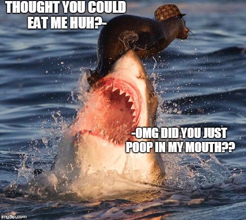 Here's a turd for ya! | THOUGHT YOU COULD EAT ME HUH?- -OMG DID YOU JUST POOP IN MY MOUTH?? | image tagged in memes,travelonshark,scumbag,poop | made w/ Imgflip meme maker