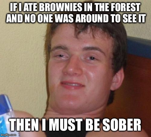10 Guy | IF I ATE BROWNIES IN THE FOREST AND NO ONE WAS AROUND TO SEE IT THEN I MUST BE SOBER | image tagged in memes,10 guy | made w/ Imgflip meme maker