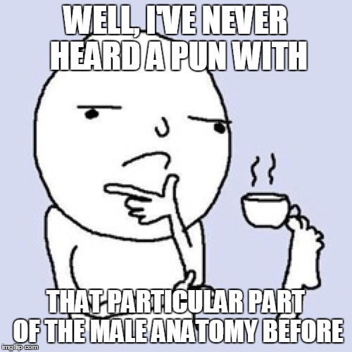 WELL, I'VE NEVER HEARD A PUN WITH THAT PARTICULAR PART OF THE MALE ANATOMY BEFORE | made w/ Imgflip meme maker