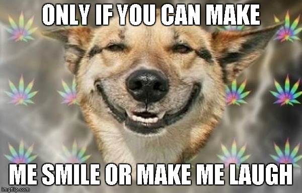 ONLY IF YOU CAN MAKE ME SMILE OR MAKE ME LAUGH | made w/ Imgflip meme maker
