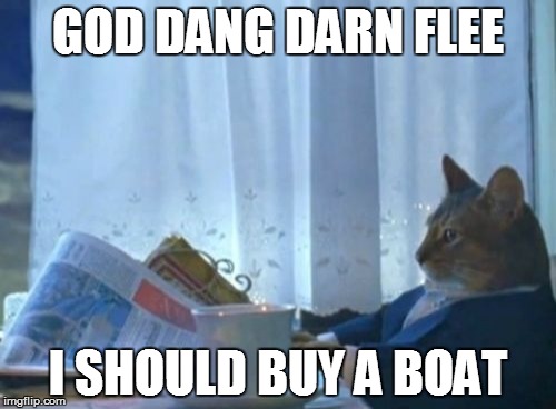 I Should Buy A Boat Cat | GOD DANG DARN FLEE I SHOULD BUY A BOAT | image tagged in memes,i should buy a boat cat | made w/ Imgflip meme maker