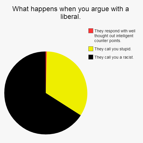 What happens when you argue with a liberal.  | image tagged in funny,pie charts | made w/ Imgflip chart maker