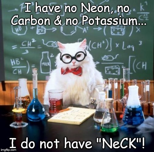 Chemistry Cat | I have no Neon, no Carbon & no Potassium... I do not have "NeCK"! | image tagged in memes,chemistry cat,neck,neon,potassium,carbon | made w/ Imgflip meme maker
